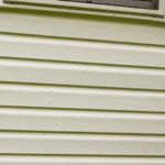 Black dots appearing on whitish vinyl siding, indicating the presence of artillery fungus