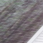 Black Streaks on Roof Shingles