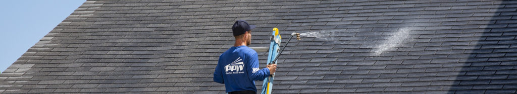 Hydro Savage Pressure Washing technician performing a soft wash roof treatment to remove roof streaks caused by Gloeocapsa Magma.