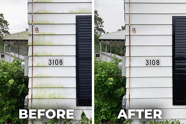 Before and after house wash